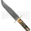 Bear & Son American Bowie India Stag Bone Fixed Blade Knife - Damascus Plain