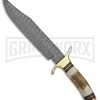 Tallen Gatherer Stag Horn Fixed Blade Knife - Damascus Plain