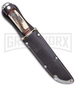 Linder Medium Bowie Brown/White Stag Fixed Blade Knife - Clip Point Plain -Knives Sale Online Shop Linder Medium Bowie Fixed Blade Stag Polished BHQ 144614 jr sheath large