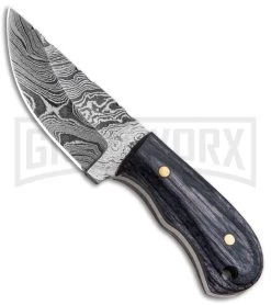 Tallen Miniature Pakka Wood Fixed Blade Knife - Damascus Plain