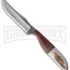 Anza Large Whitetail Horn Fixed Blade Knife - Satin Plain