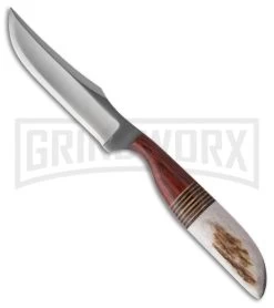 Anza Large Whitetail Horn Fixed Blade Knife - Satin Plain